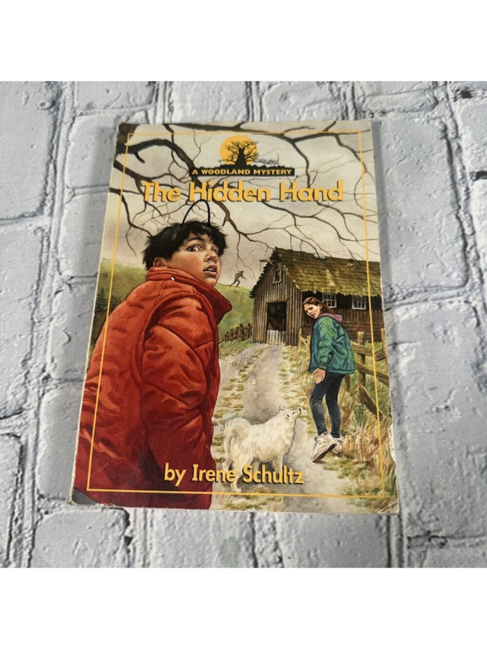 The Hidden Hand Paperback Book by Schultz, Irene, Good